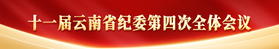十一屆云南省紀委第四次全體會議